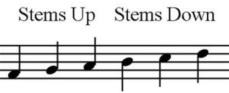 upside down music notes on the rhythm of language